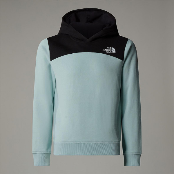 The North Face Back Logo Relaxed P/O Hoodie Kids