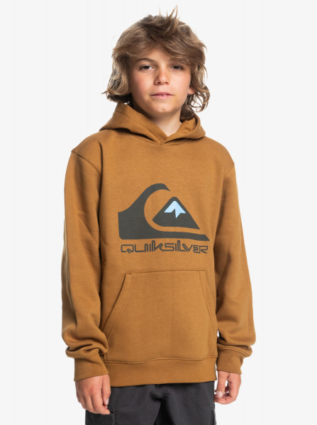 Quiksilver Big Logo Hoodie Youth