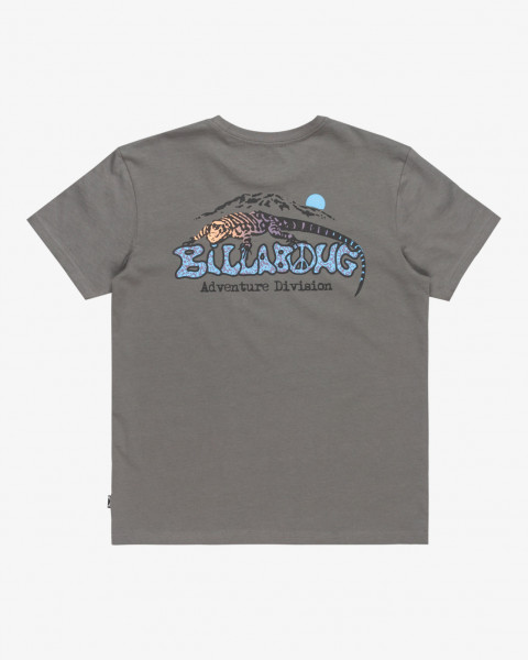 Billabong Lizard Mountain Tee